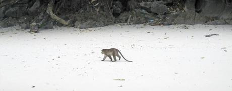Ko Phi Phi Ko Phi Phi
