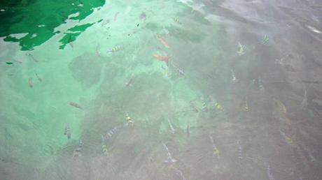 Ko Phi Phi Ko Phi Phi