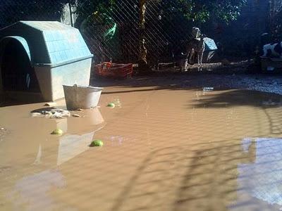 Muy urgente.... por favor!!! Sevilla en alerta amarilla