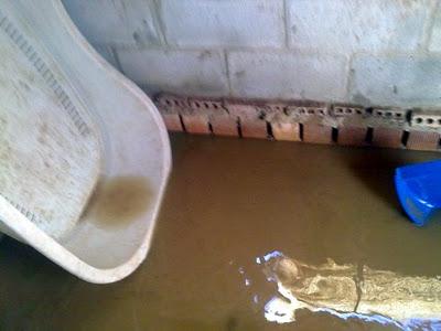 Muy urgente.... por favor!!! Sevilla en alerta amarilla