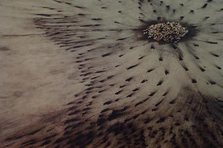 La Qüestió del Paradigma, arte emergente en Cataluña