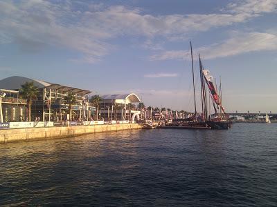 Puma y el total branding o cultura de marca