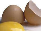 consiste Salmonelosis