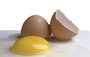 En que consiste la Salmonelosis