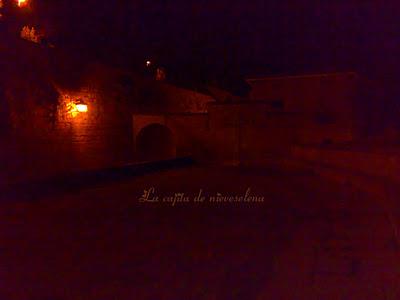 Sos del Rey Católico y ... ¡qué pequeño es el mundo!