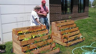 Un mini huerto urbano