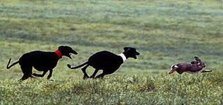 Estrategias de los Estados Combatientes en China