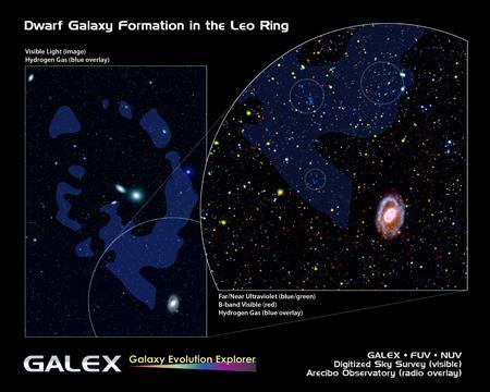 El Anillo de Leo: entrevista periódistica