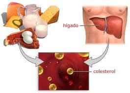 colesterol23 Qué hacer para tratar adecuadamente el colesterol (PARTE 1)?