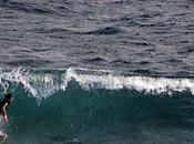 Adivina adivinanza...