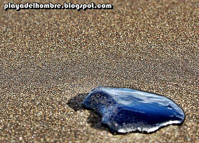 ADIVINA  ADIVINANZA...