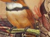 Selección aviar octubre