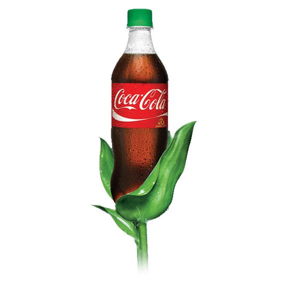 plant bottle