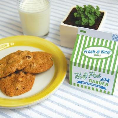 Un jardín en un cartón de leche