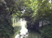 Cuando emigrar oportunidad