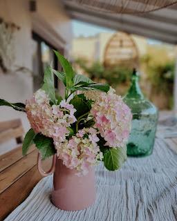 ROSA en los rincones VP