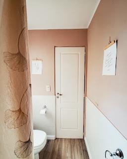 ROSA en los rincones VP