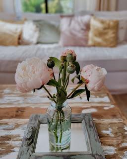 ROSA en los rincones VP