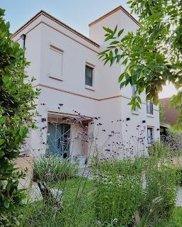 ROSA en los rincones VP