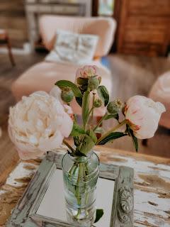 ROSA en los rincones VP