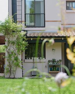 ROSA en los rincones VP