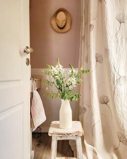 ROSA en los rincones VP