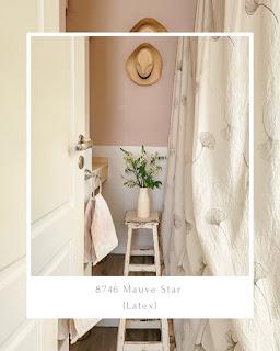 ROSA en los rincones VP