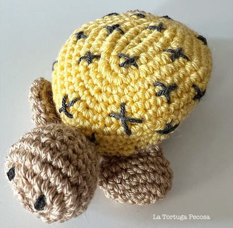 TORTUGA JABONERA LEMON PIE TORTUGA JABONERA LEMON PIE