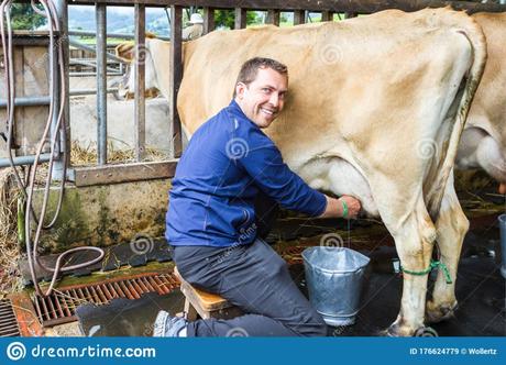 *LAS VACAS NO DAN LECHE*