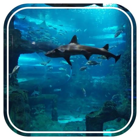 Donostia-San Sebastián, La Bella Easo