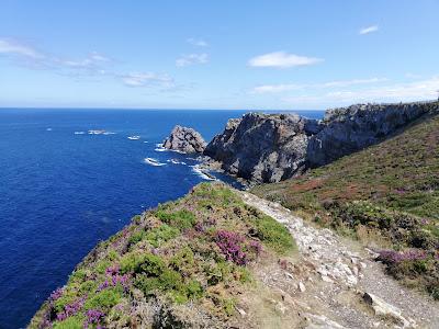 EL CABO DE PEÑAS. Un Santuario para las ballenas en la costa asturiana.
