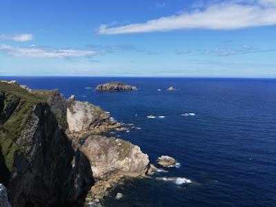 EL CABO DE PEÑAS. Un Santuario para las ballenas en la costa asturiana.
