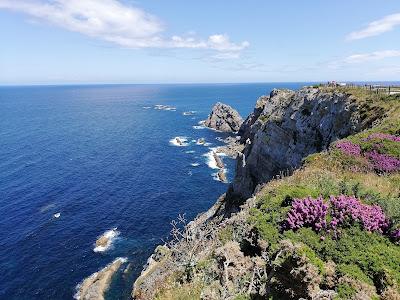EL CABO DE PEÑAS. Un Santuario para las ballenas en la costa asturiana.
