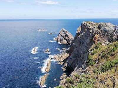 EL CABO DE PEÑAS. Un Santuario para las ballenas en la costa asturiana.