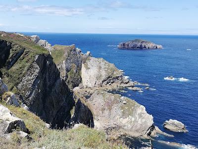 EL CABO DE PEÑAS. Un Santuario para las ballenas en la costa asturiana.