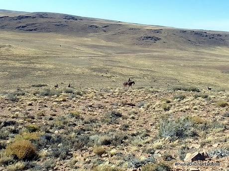Traslado a caballo de materiales hacia un cerro para instalar una torre en Mencué