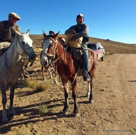 Traslado a caballo de materiales hacia un cerro para instalar una torre en Mencué