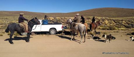 Traslado a caballo de materiales hacia un cerro para instalar una torre en Mencué