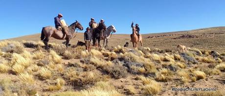 Traslado a caballo de materiales hacia un cerro para instalar una torre en Mencué