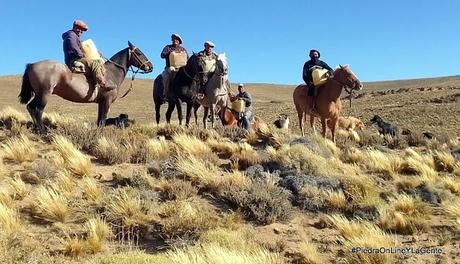 Traslado a caballo de materiales hacia un cerro para instalar una torre en Mencué