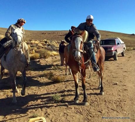 Traslado a caballo de materiales hacia un cerro para instalar una torre en Mencué