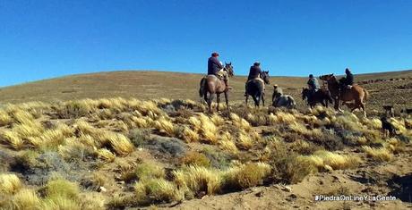 Traslado a caballo de materiales hacia un cerro para instalar una torre en Mencué