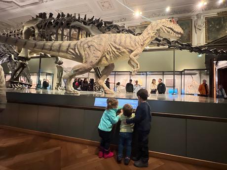 Viena con niños: Museo de Historia Natural