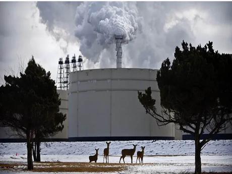 Big Oil, el Lavado Verde