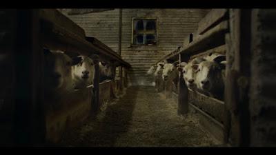 Lamb + Reina de corazones