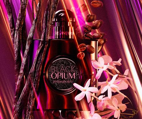 ysl-black-opium-le-parfum-ingredientes