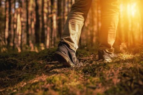 15 mejores cosas para hacer en Wilmington (Massachusetts)