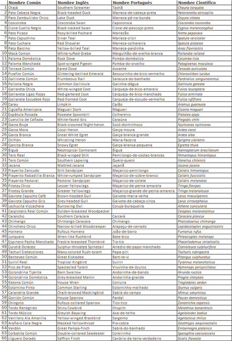 Censo Neotropical de Aves Acuáticas (febrero 2023)