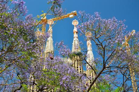 ¿Cómo visitar la Sagrada Familia en Barcelona? barcelona en primavera