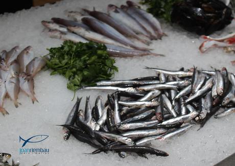 Riembau Peix i Marisc apuesta por el comercio electrónico gracias al Kit Digital